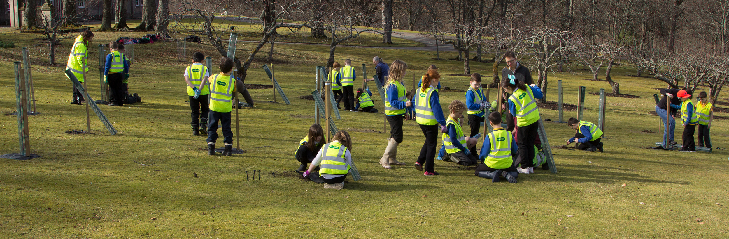 Aberlour Primary 4/5 pupils planting trees at Walkers Shortbread head office