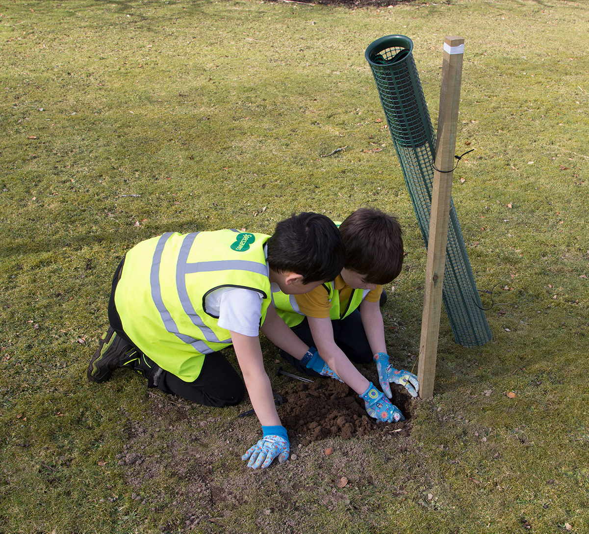 Aberlour Primary pupils planting trees #1