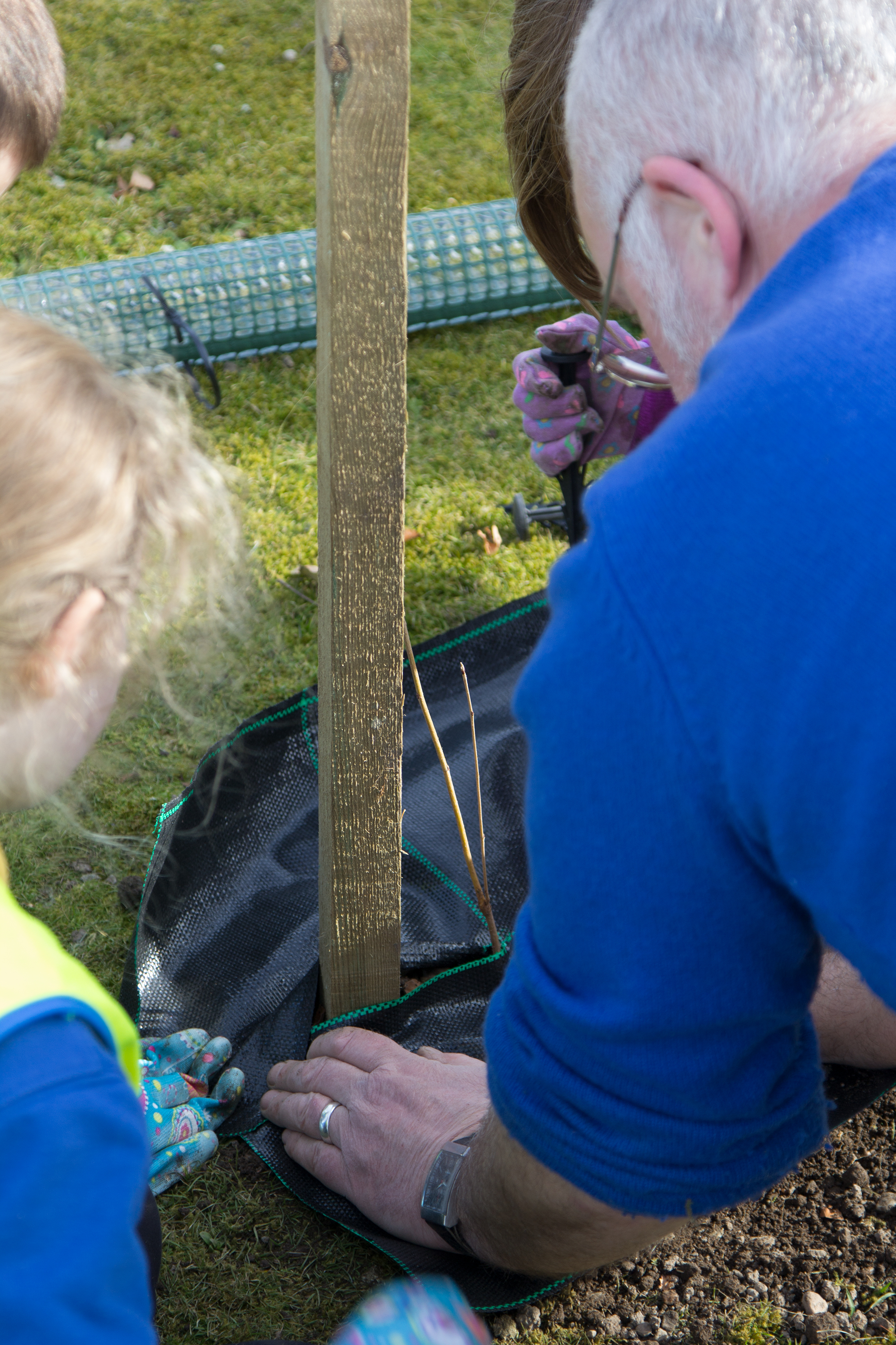 Walkers Shortbread grounds team planting trees with Aberlour Primary pupils