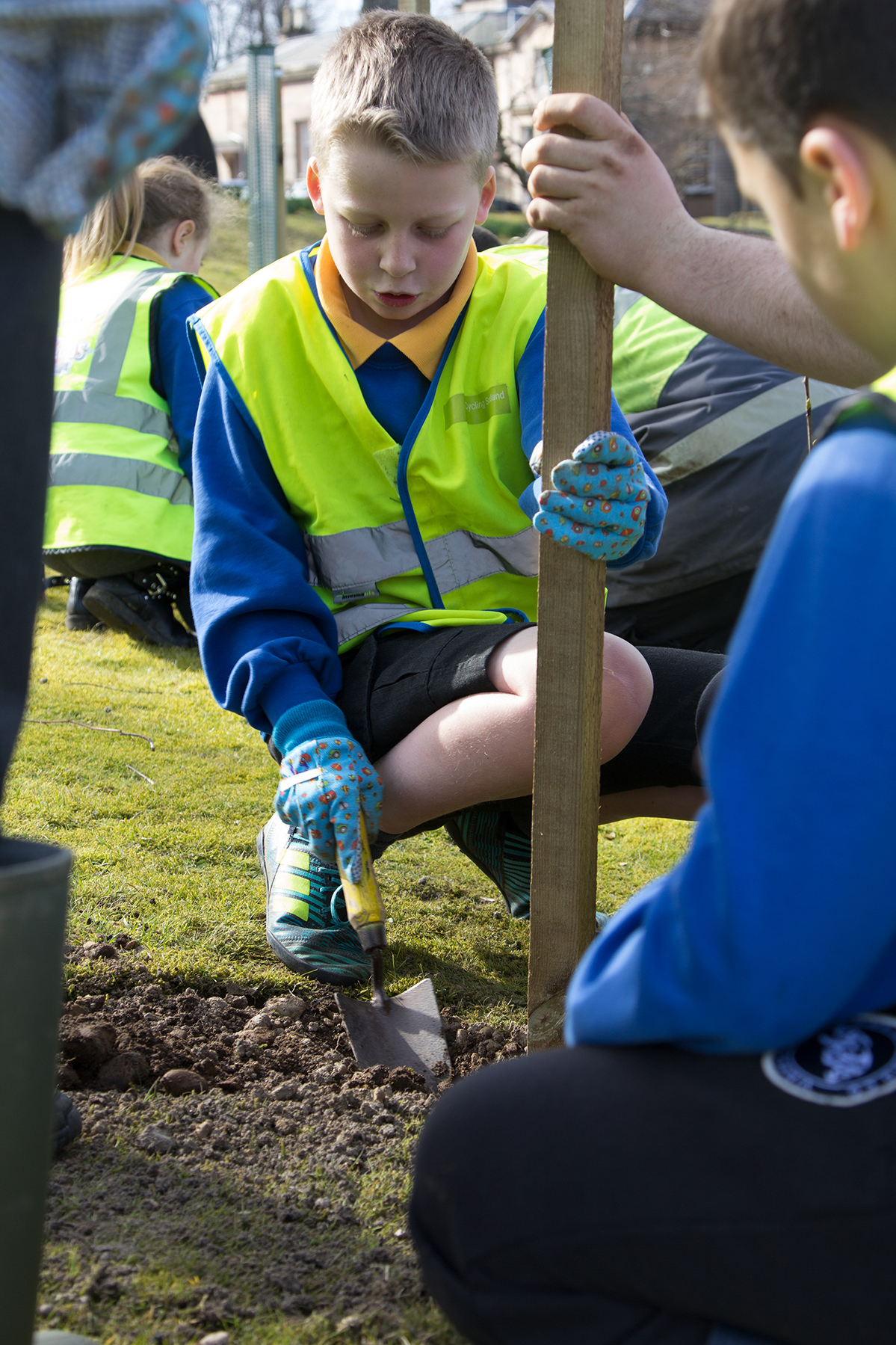 Pupils planting trees from Aberlour Primary #4