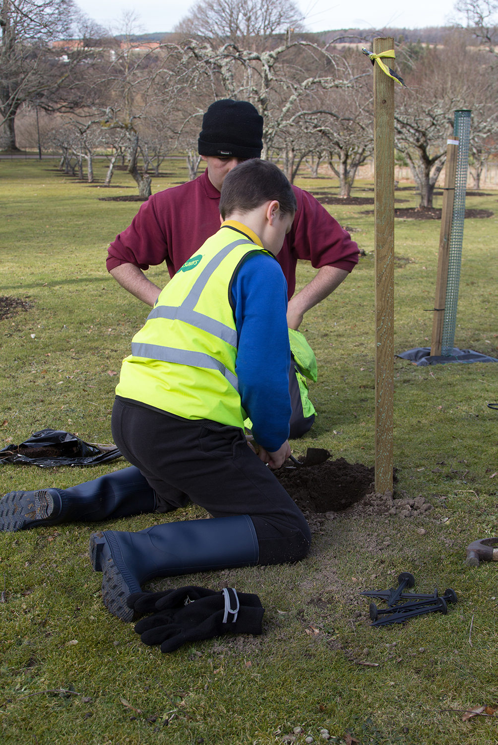 Pupils planting trees from Aberlour Primary #2